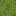 Azalea icon