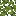 Azalea Leaves icon