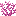 Brain Coral icon