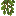Cave Vines icon