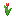 Red Tulip icon