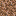 Rooted Dirt icon