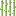 Sugar Cane icon