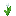 White Tulip icon