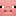 Pig icon