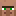 Villager icon
