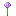 Allium icon