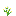 Azure Bluet icon