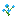 Blue Orchid icon