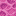 Brain Coral Block icon