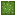 Cactus icon