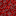 Crimson Nylium icon