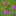 Flowering Azalea icon
