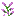 Lilac icon