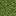 Moss Block icon