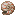 Nautilus Shell icon