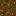 Podzol icon