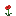 Poppy icon