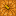 Pumpkin icon