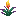 Torchflower icon